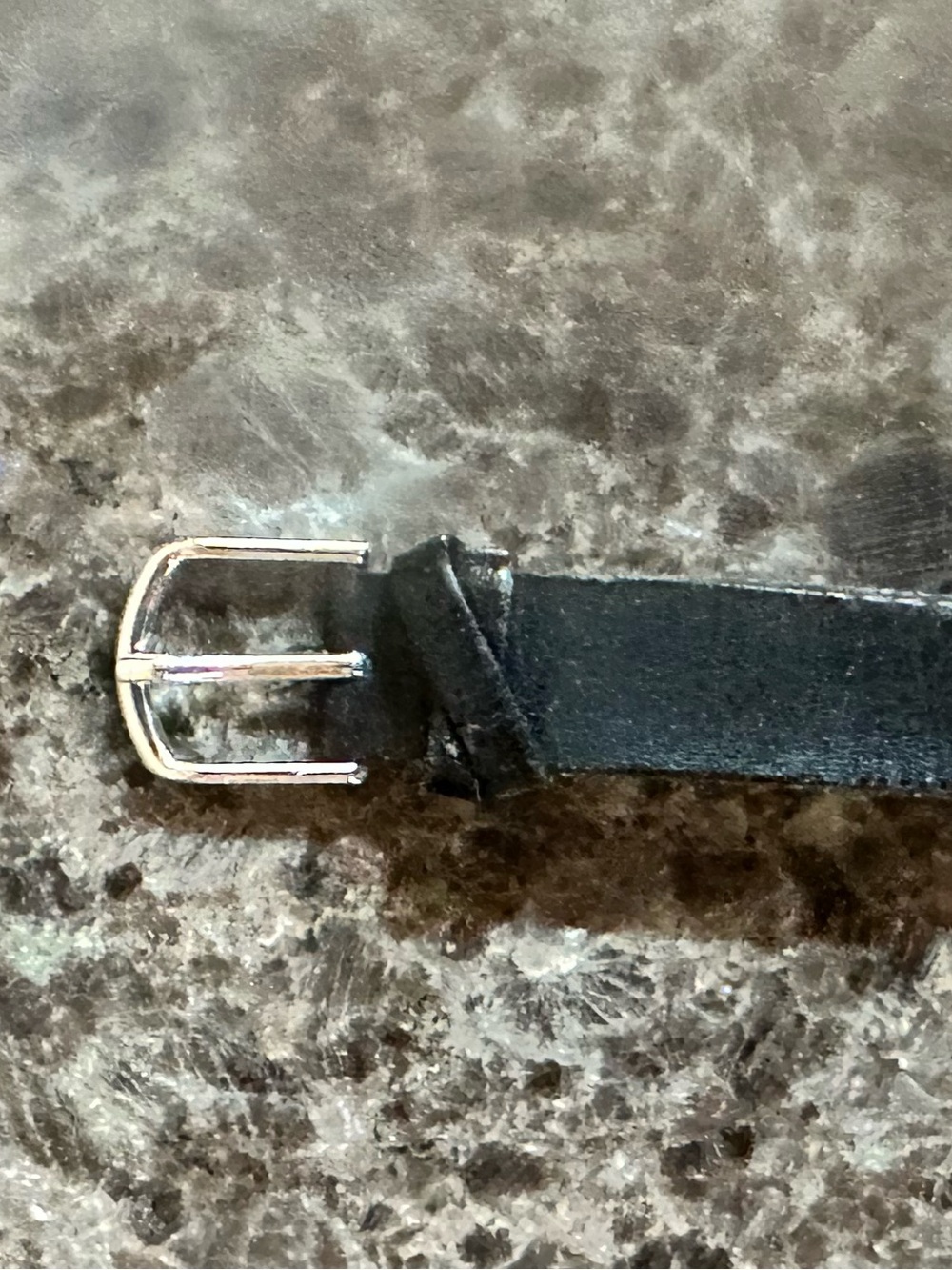 Disneys 101 Dalmatians Watch - Picture 11 of 12